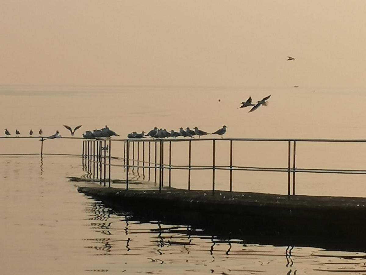 Apartments Jurisevic Umag Eksteriør billede